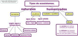 MAPAS CONCEPTUALES